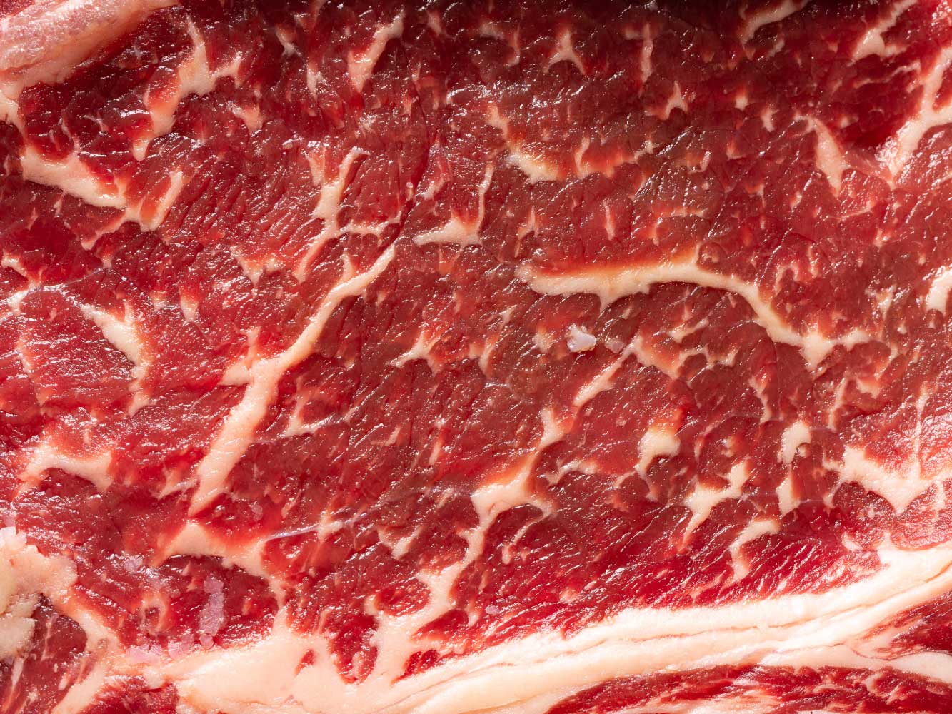 RIBEYE STEAK — NOW ONE PER PACK! - Image 5