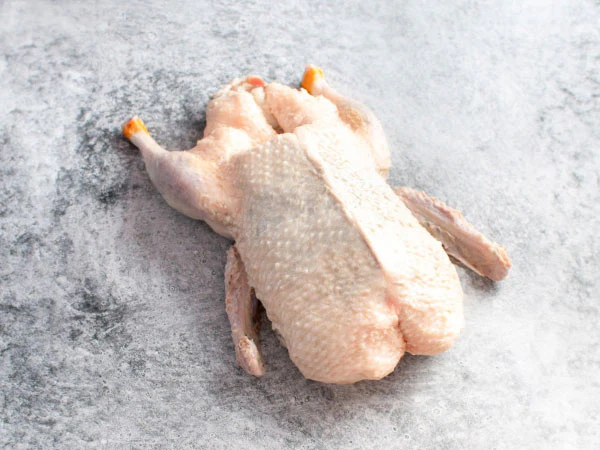 WHOLE DUCK